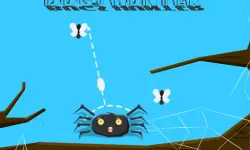 Bugs Hunter