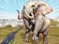 Zoo Anomaly Simulation