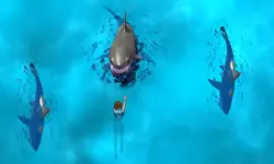Avoid the Sharks