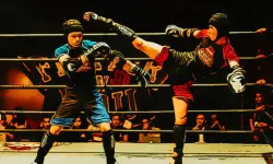 Fighters in the Ring