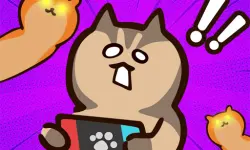 Stealth Master Sneak Cat