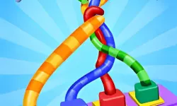 Tangle Fun 3D Game