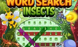 Word Search Insects