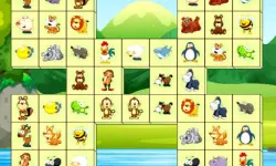 Animals Connect