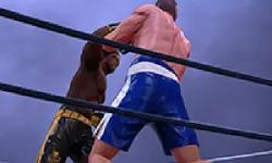 Ultimate Boxing