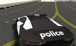 City Car Driving Simulator 3D