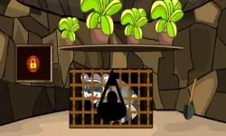 Rescue The Raccoon