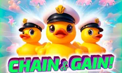 Chain n Gain