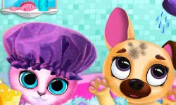Cute Pet Friends