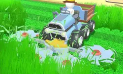 Crazy Lawn Mover
