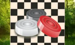Classic Checkers: Forest