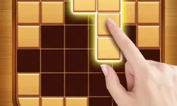 Wood Block Puzzle - Brain Game