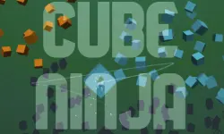 Cube Ninja