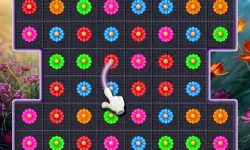 Bloom Crush