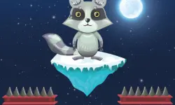Jumping Raccoon
