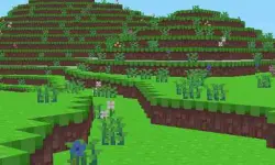 Block Craft