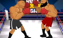 Real Boxing Fight