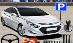 Advance Parking Car