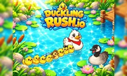 Duckling Rush.io