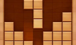 Wood Block Puzzle