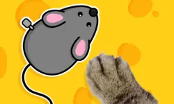 Games for Pets