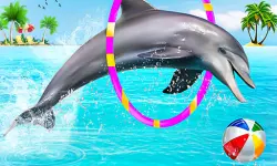 Dolphin Water Stunts Show