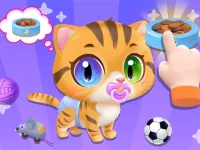 Baby Cat Daycare