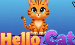 Hello Cat 2026