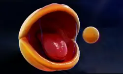 Pac-Man Rtx On