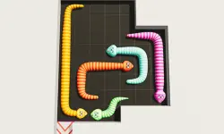 image Snake Puzzle