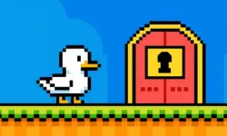 Duck Duck