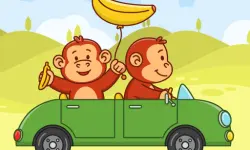 Hill Monkey