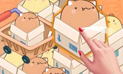 Mart Puzzle Box Cat