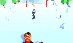 Hockey Challenge 3D