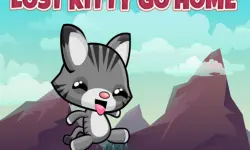 Lost Kitty Go Home