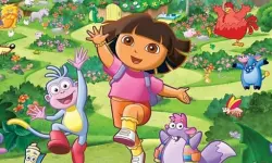 Dora memory cards
