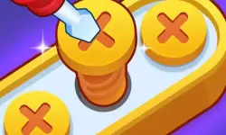 Screw Pin Jam Puzzle