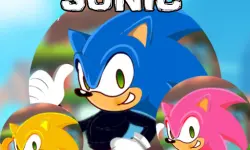 Sonic Dress Up