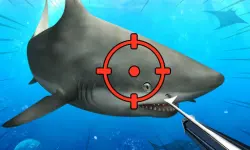 Hunter Underwater Spearfishing