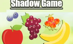 Shadow Game