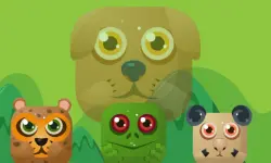 Animal Match Master