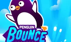 Mr BounceMaster