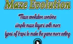 Maze Evolution