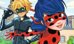Ladybug Differences