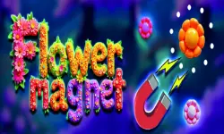 Flower Magnet