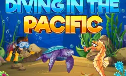 Diving In The Pacific