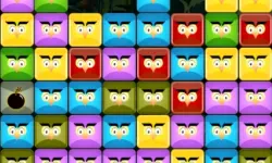 Angry Owls