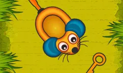 Collector Mouse