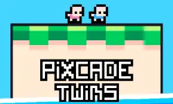 Pixcade Twins