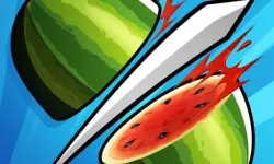 Fruit Master Cutting game